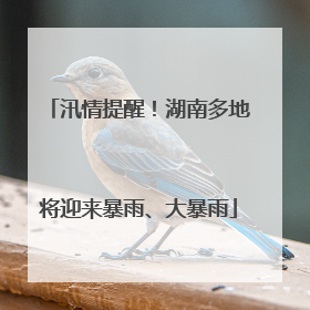 汛情提醒！湖南多地将迎来暴雨、大暴雨