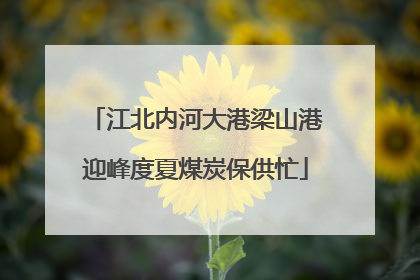 江北内河大港梁山港迎峰度夏煤炭保供忙