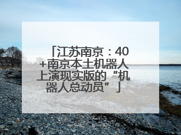 江苏南京：40+南京本土机器人上演现实版的“机器人总动员”