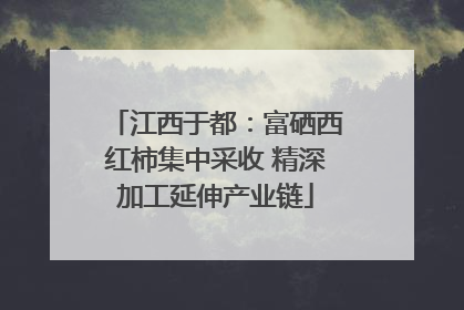 江西于都：富硒西红柿集中采收 精深加工延伸产业链