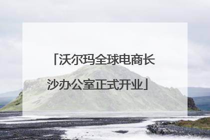 沃尔玛全球电商长沙办公室正式开业
