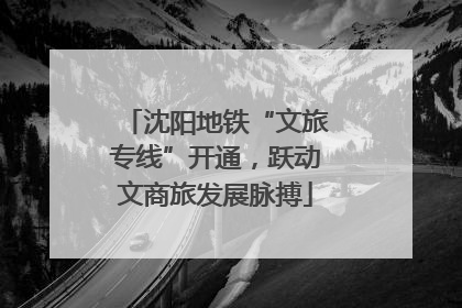 沈阳地铁“文旅专线”开通，跃动文商旅发展脉搏