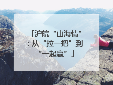沪皖“山海情”：从“拉一把”到“一起赢”