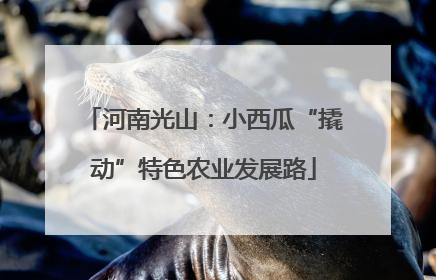 河南光山：小西瓜“撬动”特色农业发展路