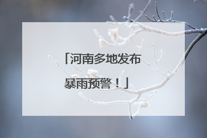 河南多地发布暴雨预警！