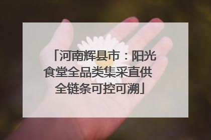 河南辉县市：阳光食堂全品类集采直供 全链条可控可溯