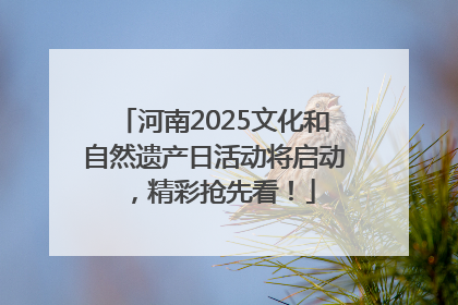 河南2025文化和自然遗产日活动将启动，精彩抢先看！