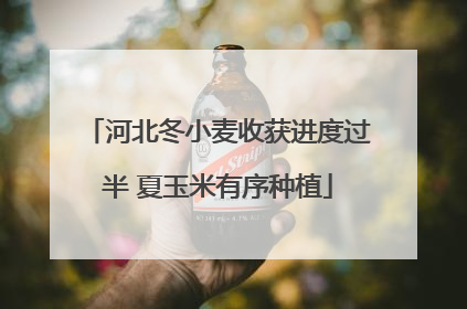 河北冬小麦收获进度过半 夏玉米有序种植