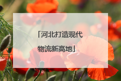 河北打造现代物流新高地