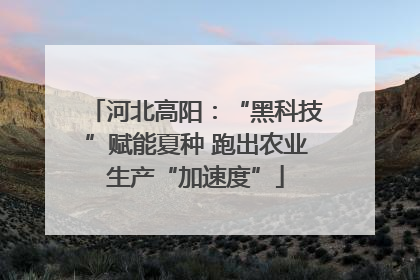 河北高阳：“黑科技”赋能夏种 跑出农业生产“加速度”