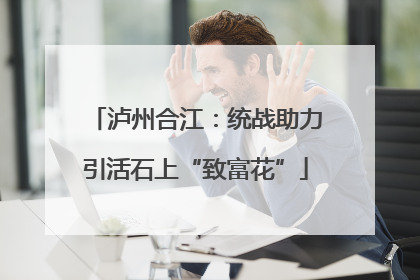 泸州合江：统战助力引活石上“致富花”