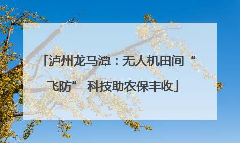 泸州龙马潭：无人机田间“飞防” 科技助农保丰收