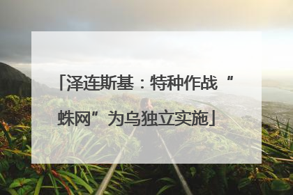 泽连斯基：特种作战“蛛网”为乌独立实施