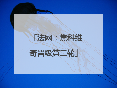 法网：焦科维奇晋级第二轮