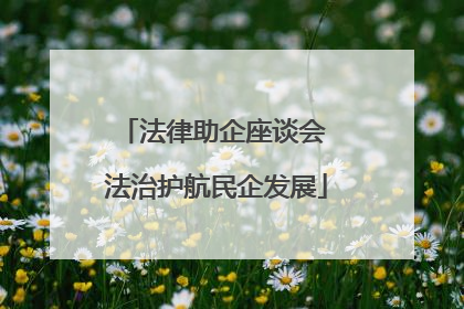 法律助企座谈会 法治护航民企发展