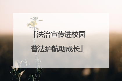 法治宣传进校园 普法护航助成长