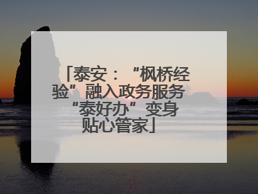 泰安：“枫桥经验”融入政务服务 “泰好办”变身贴心管家