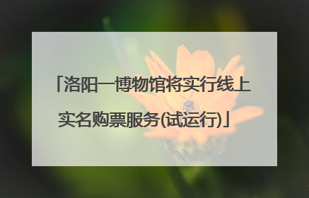 洛阳一博物馆将实行线上实名购票服务(试运行)