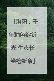 洛阳：千年釉色绽新光 生态长卷绘新章