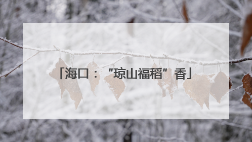 海口：“琼山福稻”香