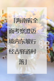 海南省全面考察澄迈境内东坡行经古驿道村落