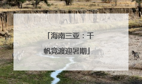海南三亚：千帆竞渡迎暑期