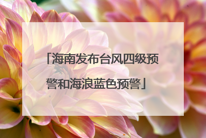 海南发布台风四级预警和海浪蓝色预警