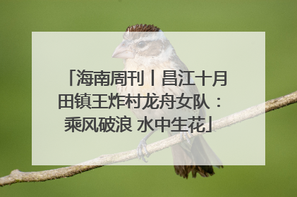 海南周刊丨昌江十月田镇王炸村龙舟女队：乘风破浪 水中生花