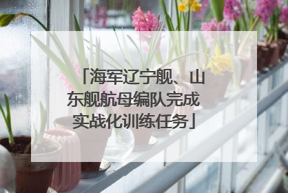海军辽宁舰、山东舰航母编队完成实战化训练任务