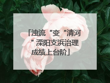 浊流“变“清河“ 溧阳支浜治理成绩上台阶