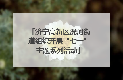 济宁高新区洸河街道组织开展“七一” 主题系列活动
