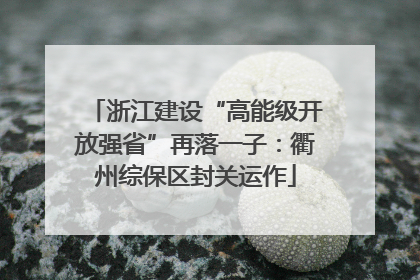 浙江建设“高能级开放强省”再落一子：衢州综保区封关运作