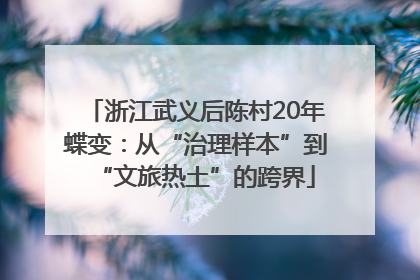 浙江武义后陈村20年蝶变：从“治理样本”到“文旅热土”的跨界
