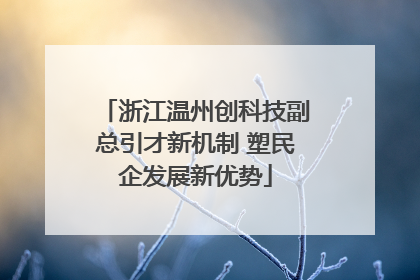 浙江温州创科技副总引才新机制 塑民企发展新优势