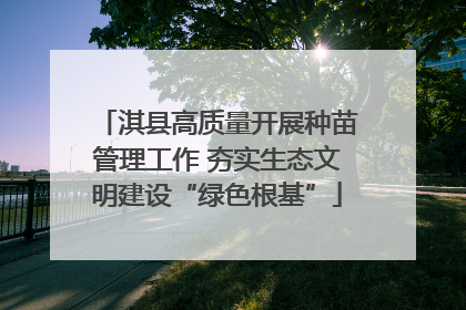淇县高质量开展种苗管理工作 夯实生态文明建设“绿色根基”