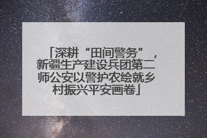 深耕“田间警务”，新疆生产建设兵团第二师公安以警护农绘就乡村振兴平安画卷