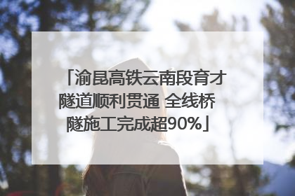 渝昆高铁云南段育才隧道顺利贯通 全线桥隧施工完成超90%