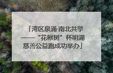 湾区泉涌·南北共擎——“花楸树”杯明湖慈善公益跑成功举办