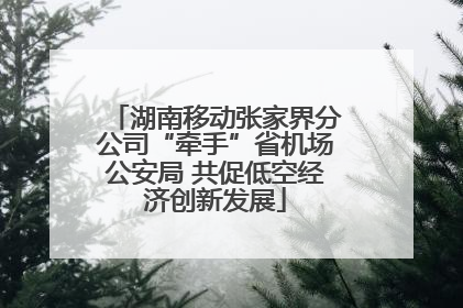 湖南移动张家界分公司“牵手”省机场公安局 共促低空经济创新发展
