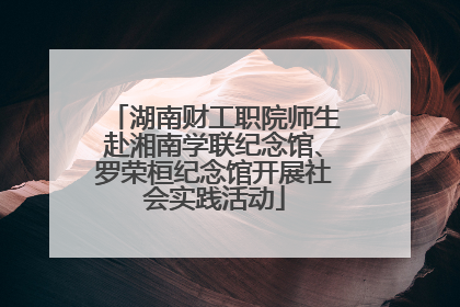 湖南财工职院师生赴湘南学联纪念馆、罗荣桓纪念馆开展社会实践活动