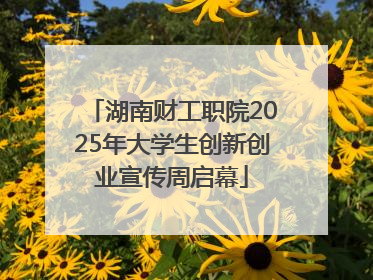 湖南财工职院2025年大学生创新创业宣传周启幕