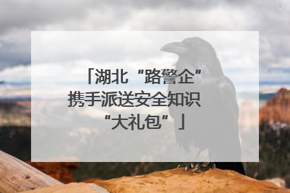 湖北“路警企”携手派送安全知识“大礼包”
