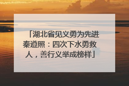 湖北省见义勇为先进秦遵照：四次下水勇救人，善行义举成榜样