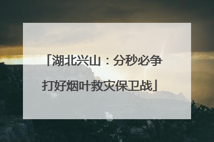 湖北兴山：分秒必争 打好烟叶救灾保卫战