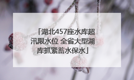 湖北457座水库超汛限水位 全省大型湖库抓紧蓄水保水