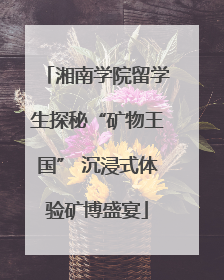 湘南学院留学生探秘“矿物王国” 沉浸式体验矿博盛宴