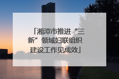 湘潭市推进“三新”领域妇联组织建设工作见成效