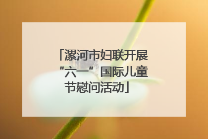 漯河市妇联开展“六一”国际儿童节慰问活动
