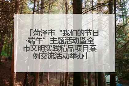菏泽市“我们的节日·端午”主题活动暨全市文明实践精品项目案例交流活动举办