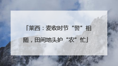 莱西：麦收时节“警”相随，田间地头护“农”忙